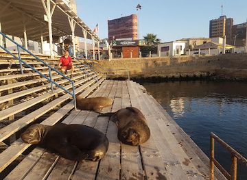 chile/iquique/landmark/caleta-riquelme