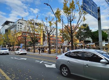 south-korea/busan/seomyeon/landmark/dongcheon-eunhaeng-namugil-ginko-street