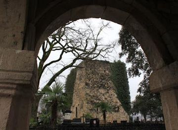 georgia/imereti/landmark/the-castle-tower-of-greenwood