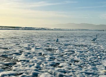 california/venice-beach/landmark/venice-beach-california