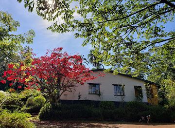 malawi/mulanje-massif/landmark/zomba-forest-lodge