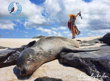 ecuador/puerto-baquerizo-moreno/landmark/galapagos-eco-challenger