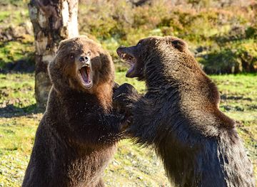 ireland/county-donegal/landmark/wild-ireland