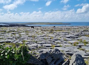 ireland/aran-islands/landmark/eire-50-aran-islands