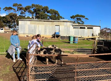 australia/kangaroo-island/landmark/will-s-rare-breeds-farm