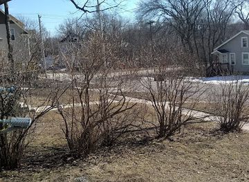 iowa/fort-dodge/landmark/mason-park