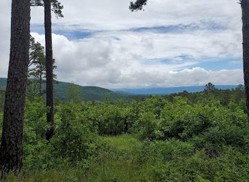 oklahoma/lake-and-trail-country/landmark/talimena-state-park
