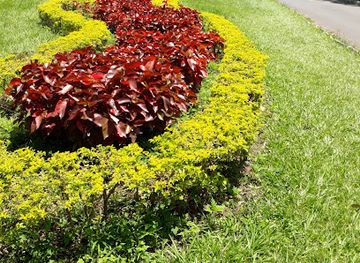 paraguay/asuncion/carmelitas/landmark/jardin-de-la-senora-asuncion