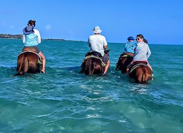 turks-and-caicos-islands/west-caicos/landmark/tci-heritage-horseback-riding-tours