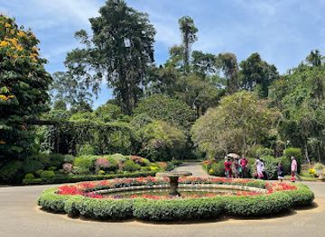 sri-lanka/kandy/landmark/royal-botanic-gardens-peradeniya