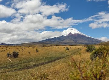 ecuador/central-sierra/landmark/la-mariscal-artisan-market