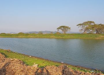 india/guwahati/landmark/deepor-beel-picnic-spot