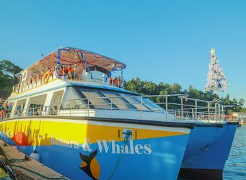 sri-lanka/mirissa/landmark/whales-watching-mirissa-with-kumara
