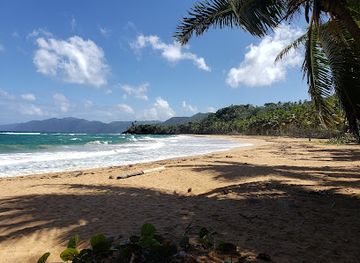 dominican-republic/samana-peninsula/landmark/playa-lanza-del-norte