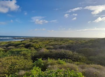 kenya/coastal-region/landmark/takwa-ruins