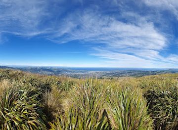 new-zealand/dunedin/landmark/pineapple-track-walkway