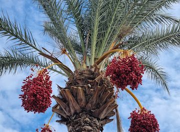 tunisia/the-tell/landmark/tunus-ta-1-yer