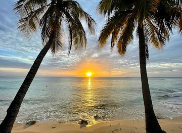 barbados/mullins-beach/landmark/adrian-s-bar