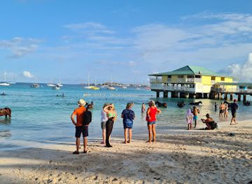 barbados/saint-michael/landmark/pebbles-beach