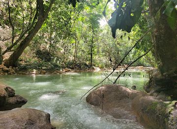 jamaica/st-thomas-lowlands/landmark/mada-fed-nature-river