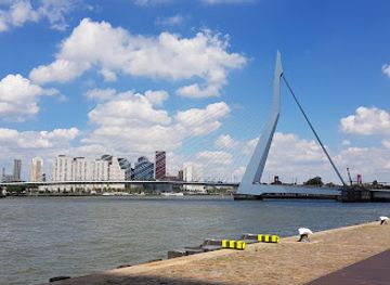 netherlands/dutch-coast/landmark/holland-america-quay