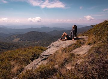 tennessee/appalachian-mountains/landmark/roan-mountain