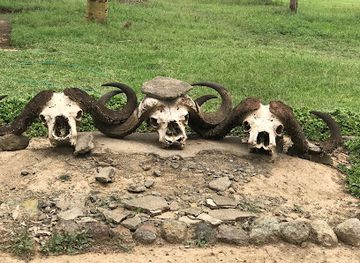 kenya/lake-nakuru-national-park/landmark/nderit-gate-lake-nakuru-national-park