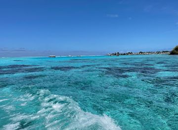 french-polynesia/leeward-islands/landmark/vavau-adventures