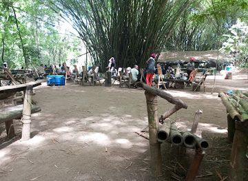 cote-d-ivoire/lagunes/landmark/parc-dahlia-fleur