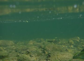 serbia/timok/landmark/beli-timok