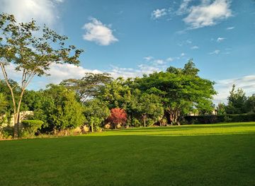 zambia/central-province/landmark/kumushi-garden