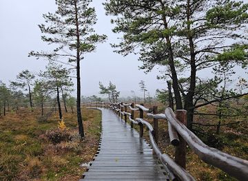 germany/altbayern/landmark/naturlehrpfad-schwarzes-moor