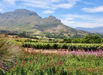 south-africa/cape-winelands/landmark/delaire-graff-estate