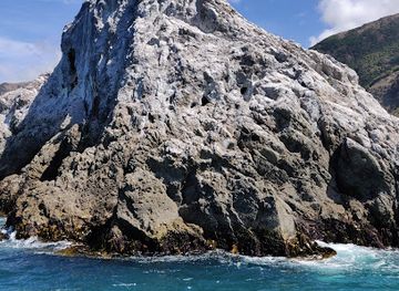 new-zealand/kaikoura/landmark/whale-watch-kaikoura