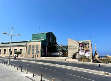 greece/heraklion/historical-museum-of-crete/landmark/natural-history-museum-of-crete