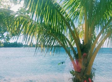 french-polynesia/tahiti/landmark/fenua-aihere