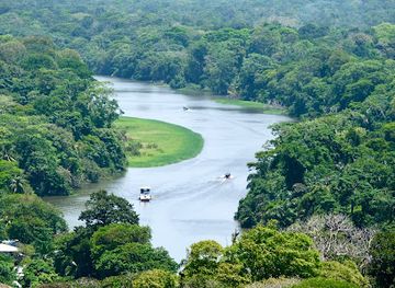 costa-rica/tortuguero-national-park/landmark/sendero-cerro-tortuguero