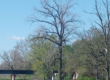 indiana/muncie/landmark/craddock-wetlands