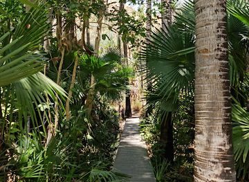 australia/mid-west/landmark/zebedee-springs