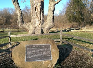ohio/akron/landmark/indian-signal-tree