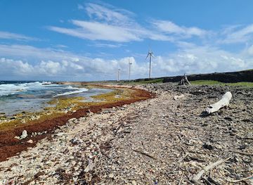 curacao/tera-kora/landmark/wind-farm-tera-kora