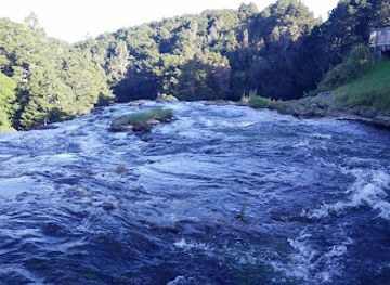 new-zealand/west-coast/landmark/whangarei-falls
