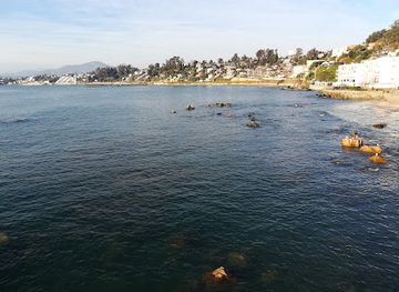 chile/vina-del-mar/landmark/caleta-higuerillas