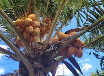 antigua-and-barbuda/falmouth/landmark/table-hill-gordon