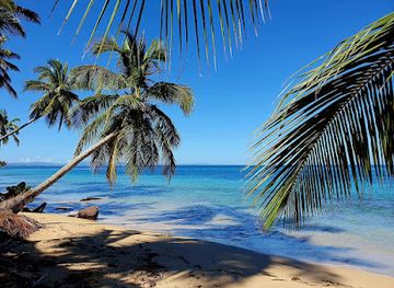 dominican-republic/los-haitises/landmark/chris-y-dani-private-trips-las-terrenas-by-nadal-tours-del-caribe