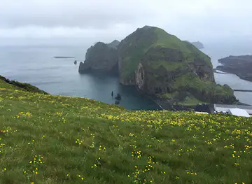 Klif