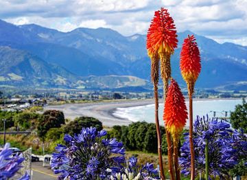 new-zealand/kaikoura/landmark/kaikoura-town-lookout