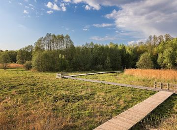 poland/kampinos-national-park/landmark/wieza-widokowa