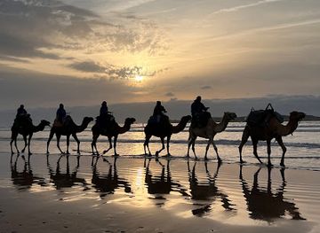 morocco/chiadma/landmark/lima-dromadaire