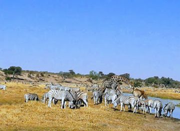 botswana/moremi-game-reserve/landmark/makgadikgadi-pans-national-park